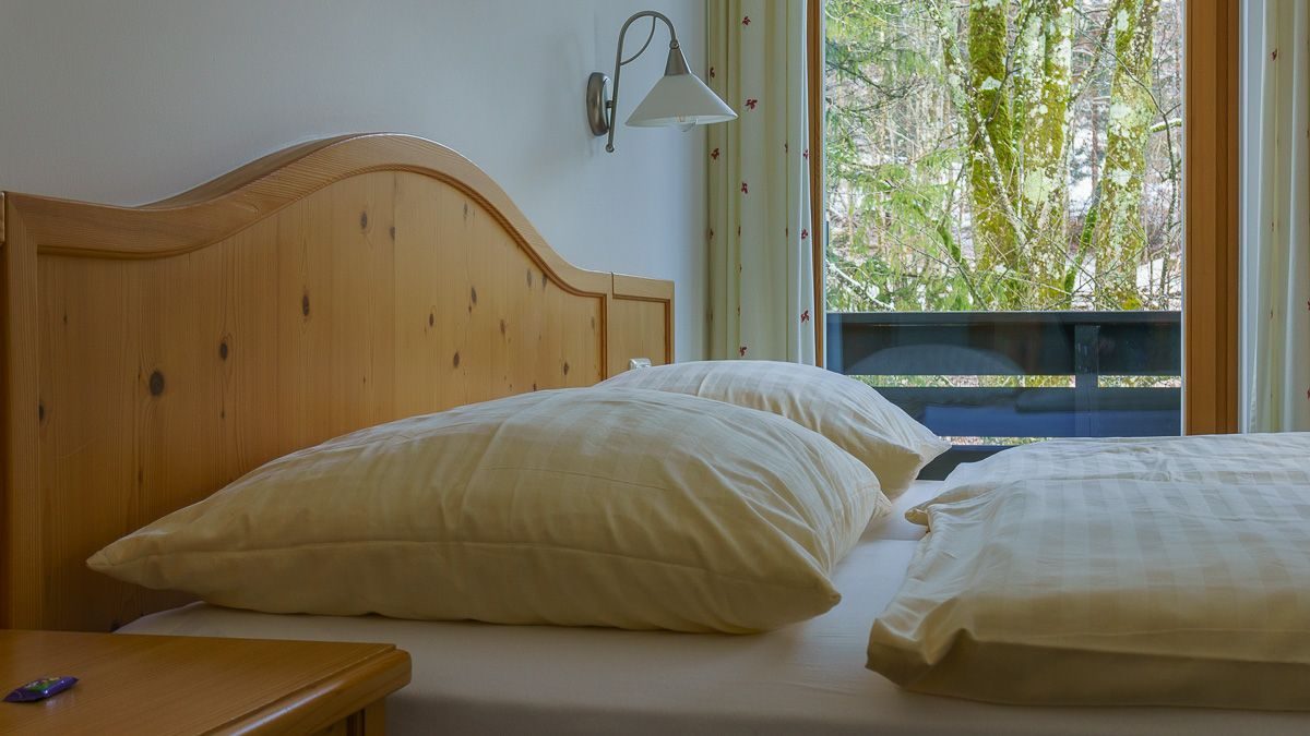Wohn-Schlafzimmer – Ferienwohnung (ca. 45 m²), Pension Wanderruh in Grünau im Almtal